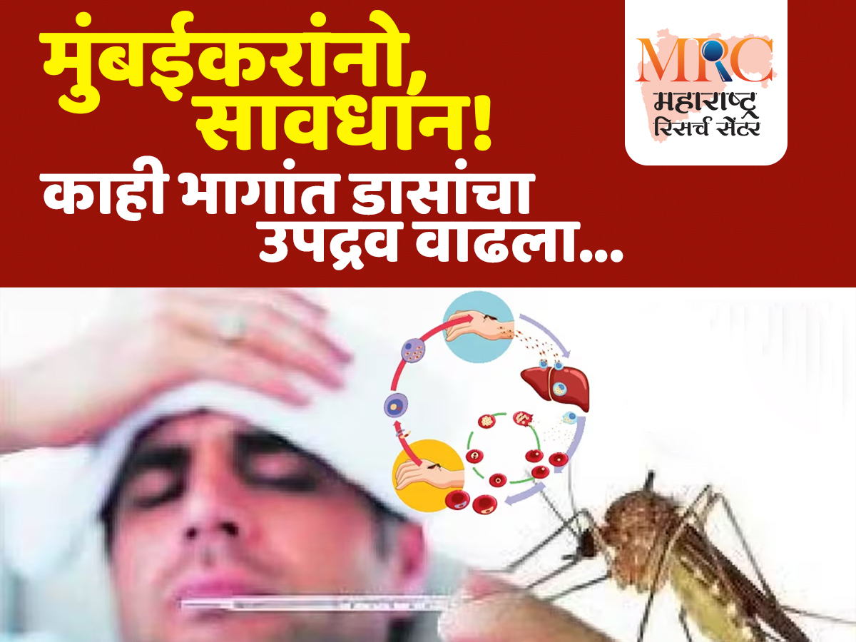 मुंबईकरांनो, सावधान! काही भागांत डासांचा उपद्रव वाढला