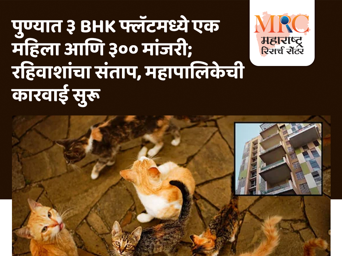 पुण्यात ३ BHK फ्लॅटमध्ये एक महिला आणि ३०० मांजरी; रहिवाशांचा संताप, महापालिकेची कारवाई सुरू