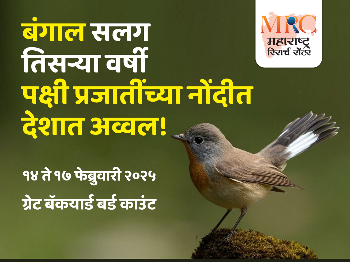 बंगाल सलग तिसऱ्या वर्षी पक्षी प्रजातींच्या नोंदीत देशात अव्वल