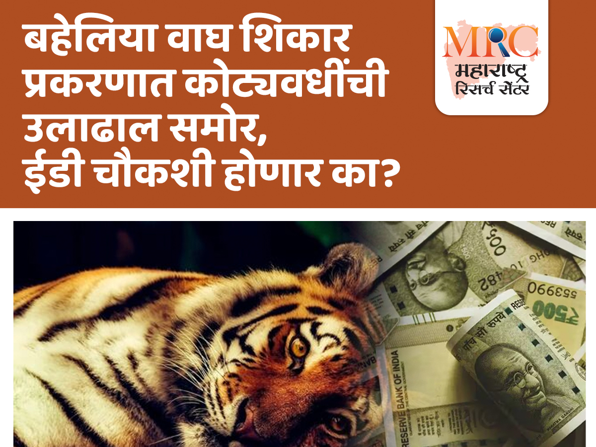 बहेलिया वाघ शिकार प्रकरणात कोट्यवधींची उलाढाल समोर, ईडी चौकशी होणार का?