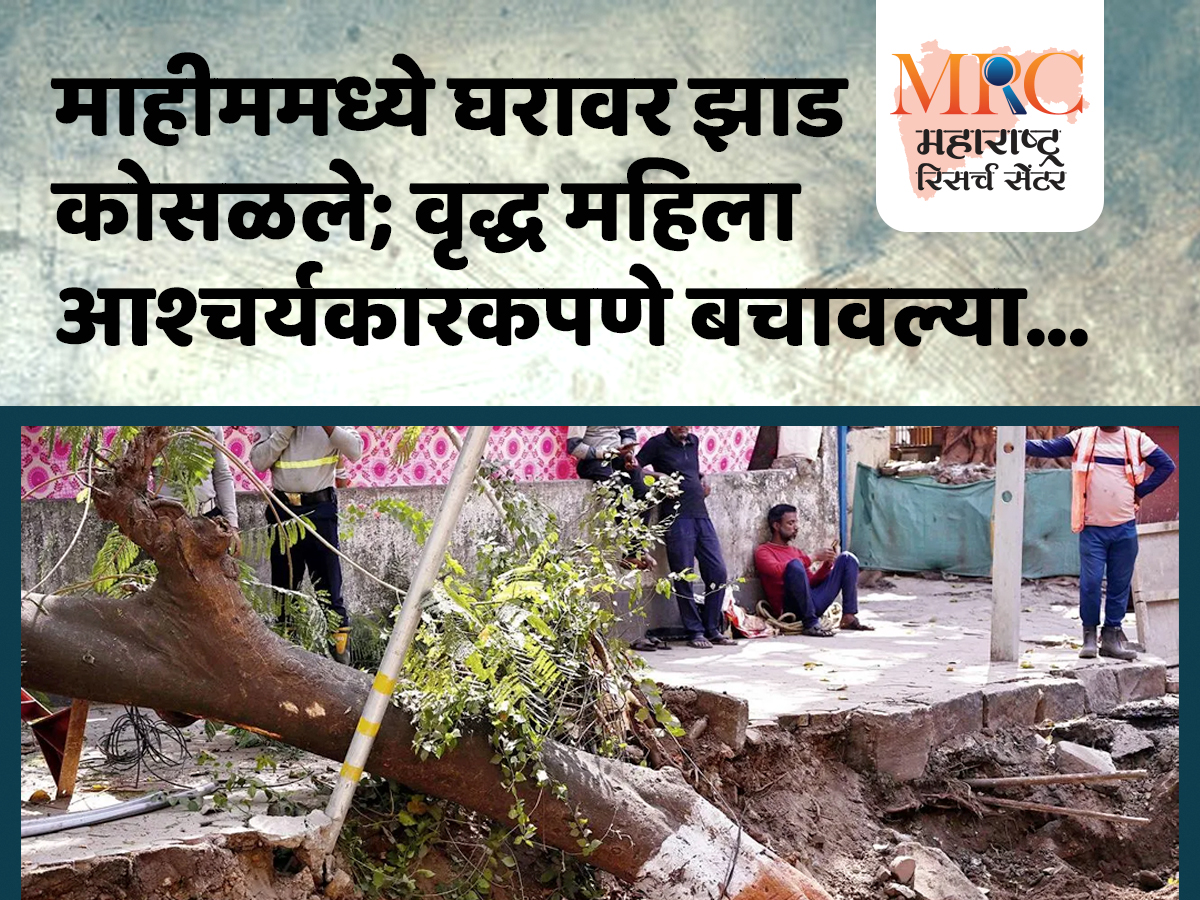 माहीममध्ये घरावर झाड कोसळले; वृद्ध महिला आश्चर्यकारकपणे बचावल्या