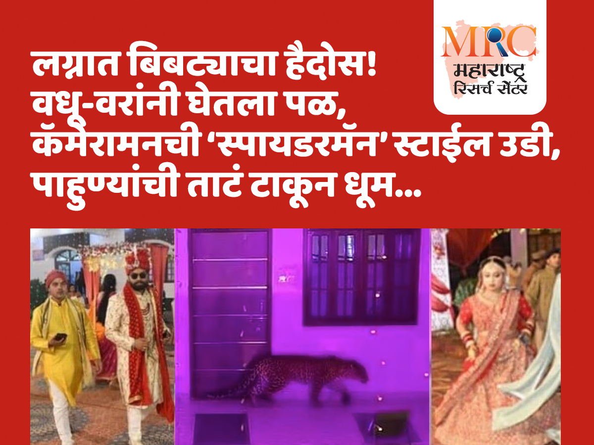 लग्नात बिबट्याचा हैदोस! वधू-वरांनी घेतला पळ, कॅमेरामनची ‘स्पायडरमॅन’ स्टाईल उडी, पाहुण्यांची ताटं टाकून धूम