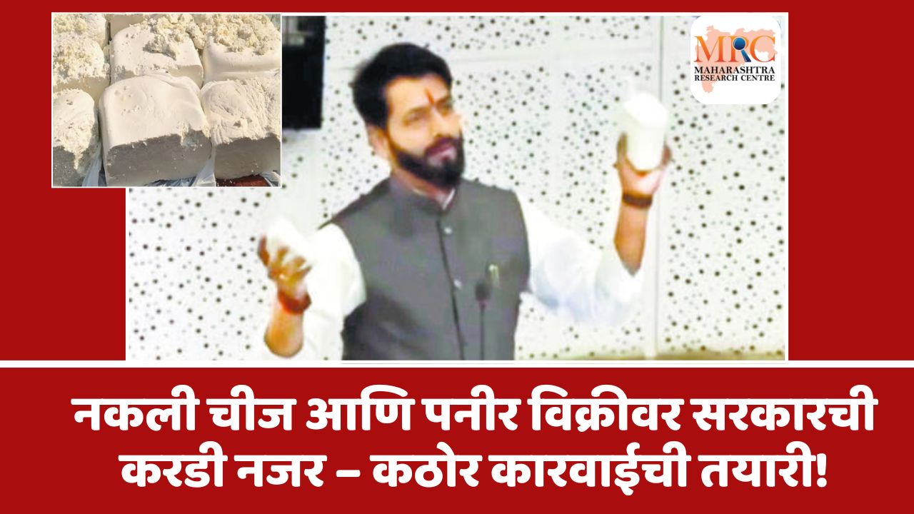 नकली चीज आणि पनीर विक्रीवर सरकारची करडी नजर – कठोर कारवाईची तयारी!