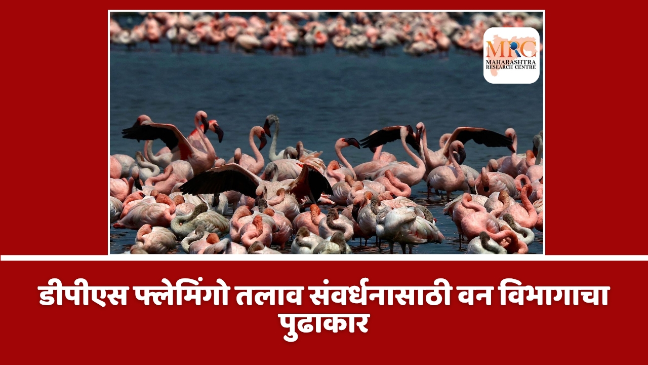 डीपीएस फ्लेमिंगो तलाव संवर्धनासाठी वन विभागाचा पुढाकार