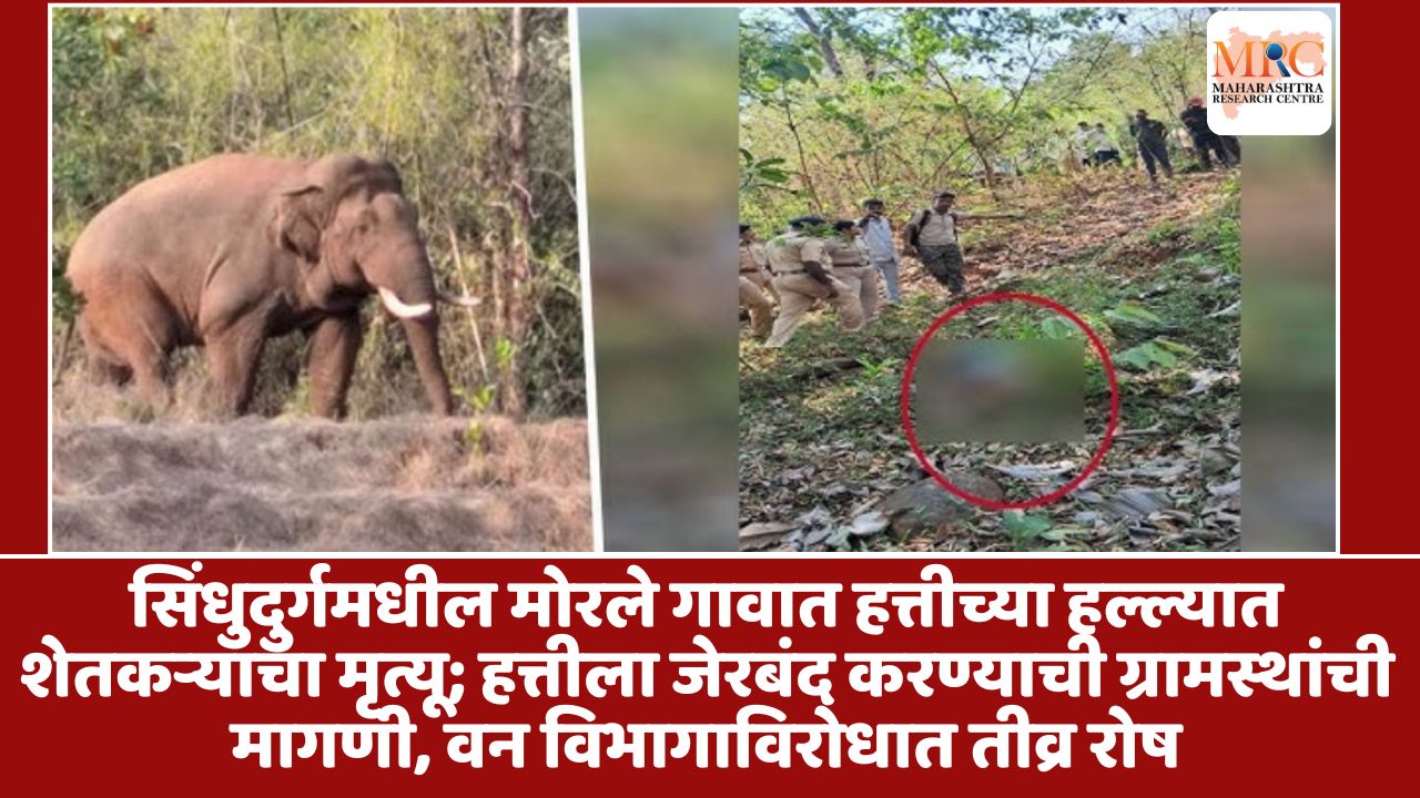 सिंधुदुर्गमधील मोरले गावात हत्तीच्या हल्ल्यात शेतकऱ्याचा मृत्यू; हत्तीला जेरबंद करण्याची ग्रामस्थांची मागणी, वन विभागाविरोधात तीव्र रोष