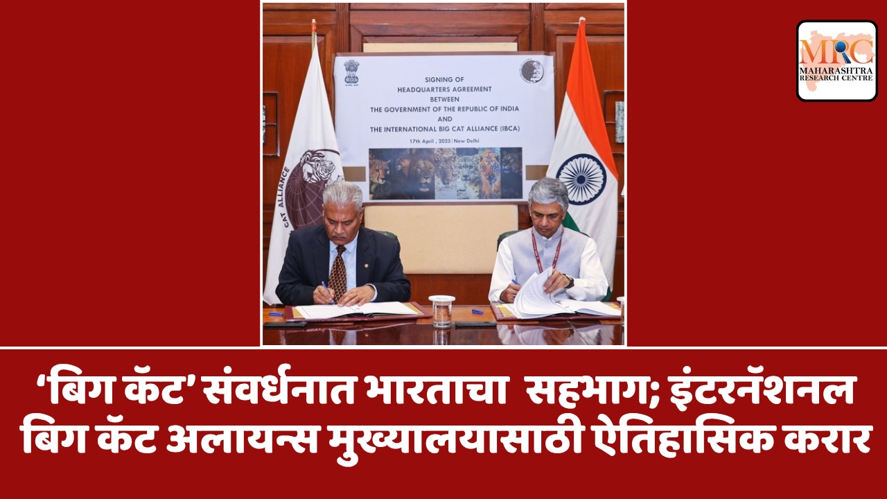 ‘बिग कॅट’ संवर्धनात भारताचा  सहभाग; इंटरनॅशनल बिग कॅट अलायन्स मुख्यालयासाठी ऐतिहासिक करार