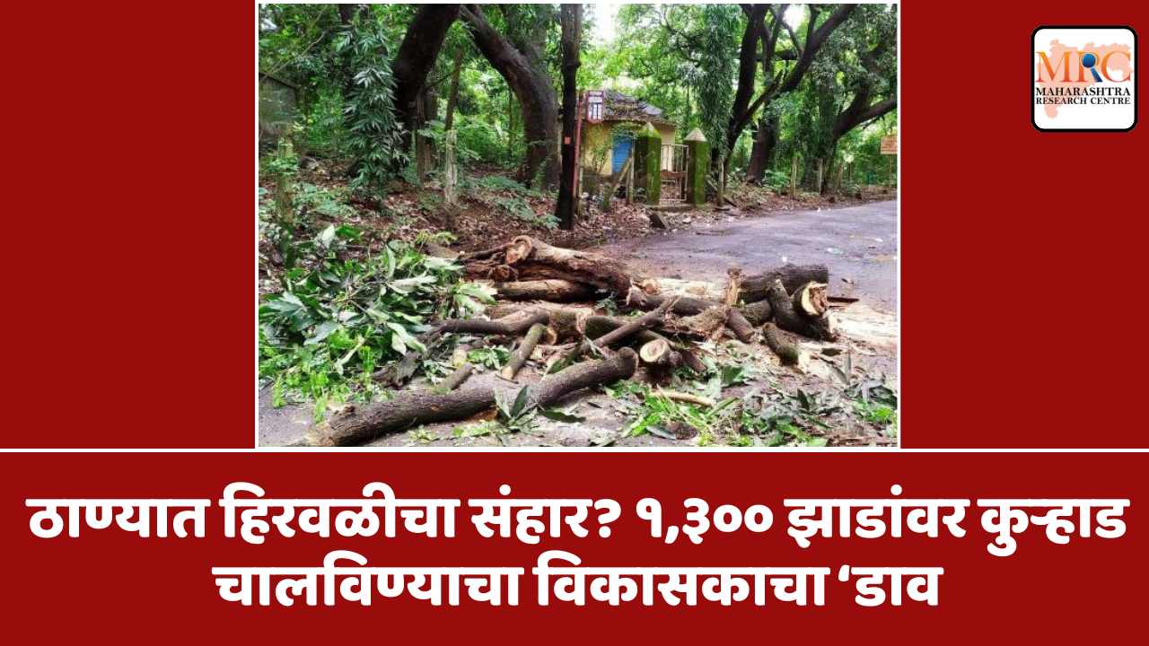 ठाण्यात हिरवळीचा संहार? १,३०० झाडांवर कुऱ्हाड चालविण्याचा विकासकाचा ‘डाव