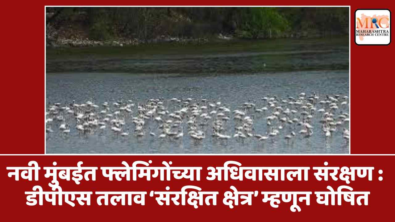 नवी मुंबईत फ्लेमिंगोंच्या अधिवासाला संरक्षण : डीपीएस तलाव ‘संरक्षित क्षेत्र’ म्हणून घोषित