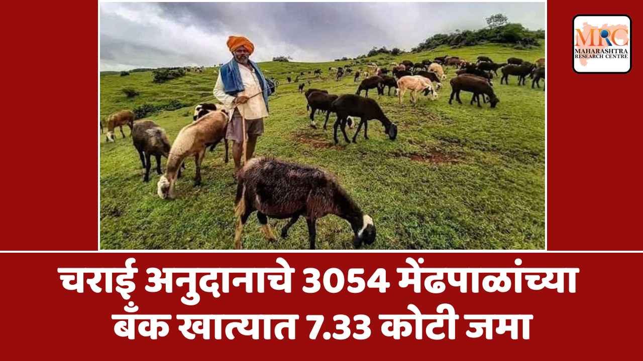 चराई अनुदानाचे 3054 मेंढपाळांच्या बँक खात्यात 7.33 कोटी जमा