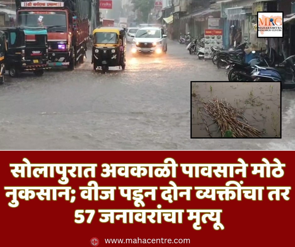 सोलापुरात अवकाळी पावसाने मोठे नुकसान; वीज पडून दोन व्यक्तींचा तर 57 जनावरांचा मृत्यू