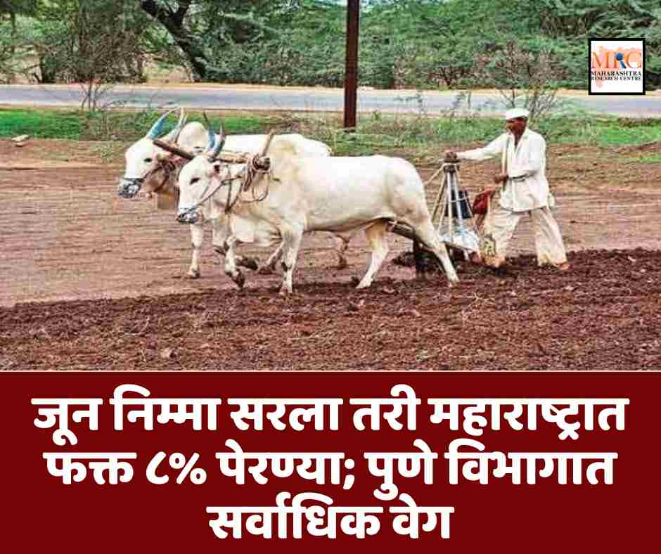 जून निम्मा सरला तरी महाराष्ट्रात फक्त ८% पेरण्या; पुणे विभागात सर्वाधिक वेग