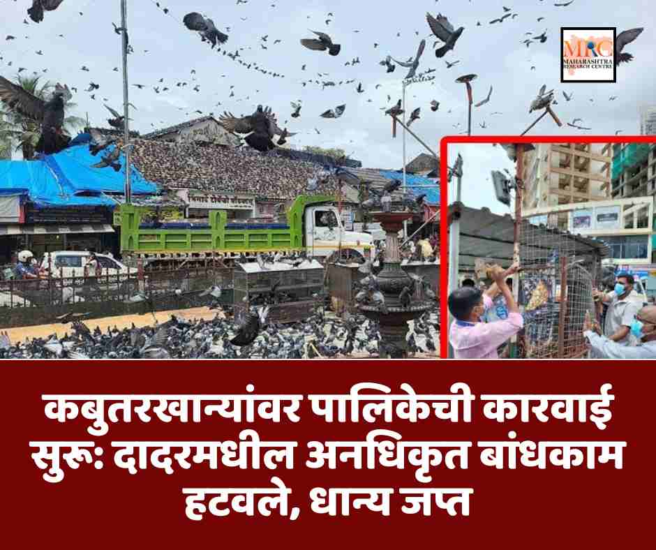 कबुतरखान्यांवर पालिकेची कारवाई सुरू: दादरमधील अनधिकृत बांधकाम हटवले, धान्य जप्त