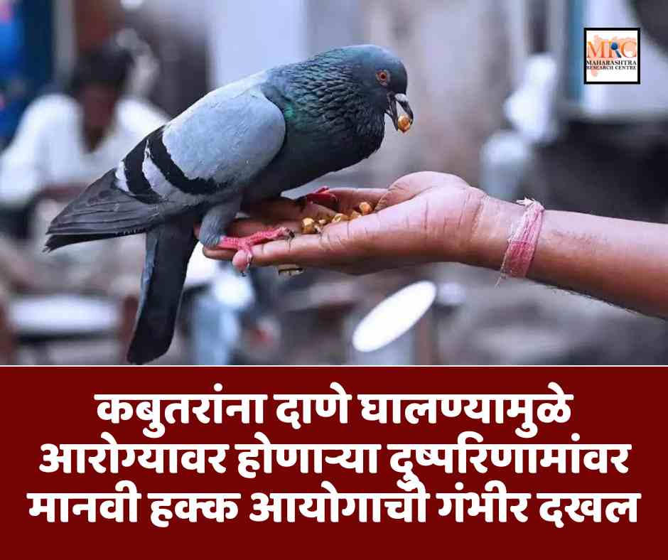 कबुतरांना दाणे घालण्यामुळे आरोग्यावर होणाऱ्या दुष्परिणामांवर मानवी हक्क आयोगाची गंभीर दखल