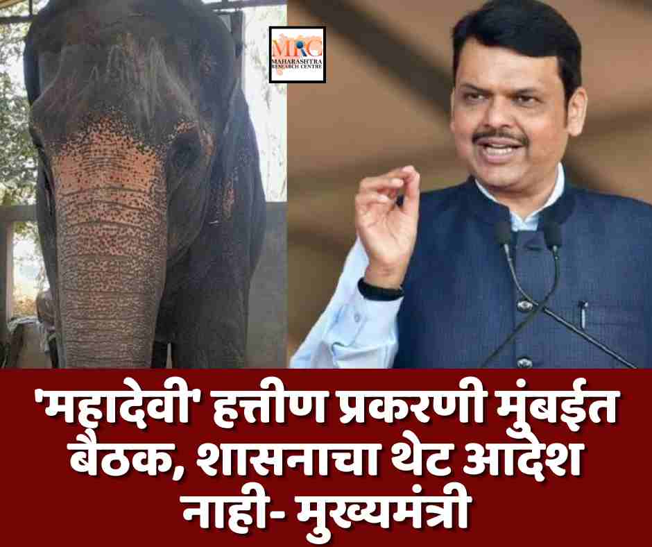 ‘महादेवी’ हत्तीण प्रकरणी मुंबईत बैठक, शासनाचा थेट आदेश नाही- मुख्यमंत्री