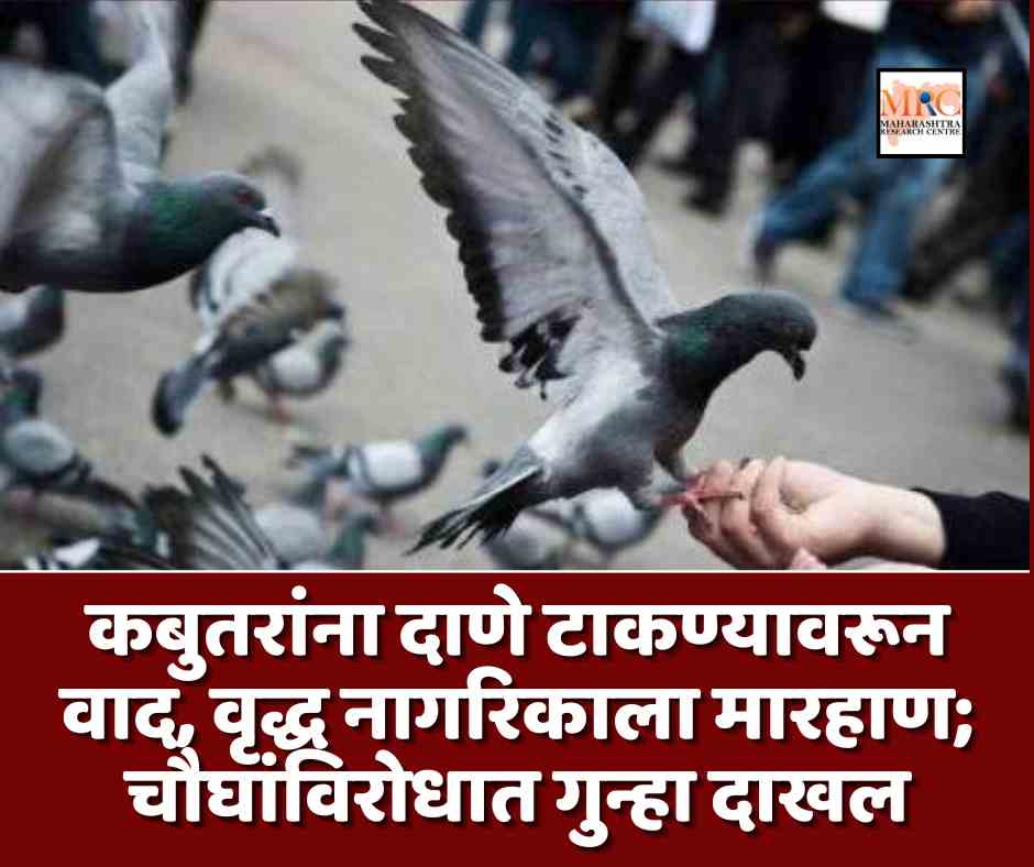 कबुतरांना दाणे टाकण्यावरून वाद, वृद्ध नागरिकाला मारहाण; चौघांविरोधात गुन्हा दाखल