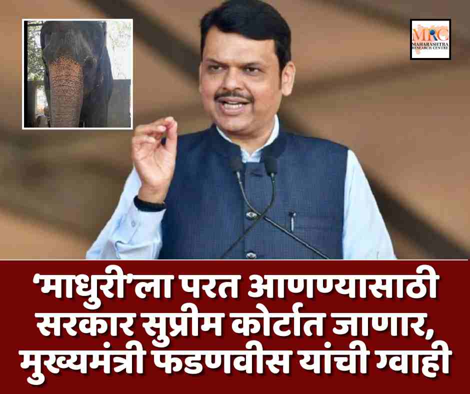 ‘माधुरी’ला परत आणण्यासाठी सरकार सुप्रीम कोर्टात जाणार, मुख्यमंत्री फडणवीस यांची ग्वाही