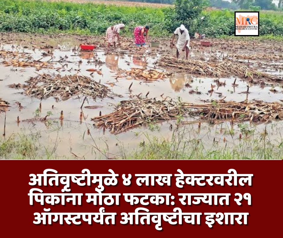 अतिवृष्टीमुळे ४ लाख हेक्टरवरील पिकांना मोठा फटका: राज्यात २१ ऑगस्टपर्यंत अतिवृष्टीचा इशारा
