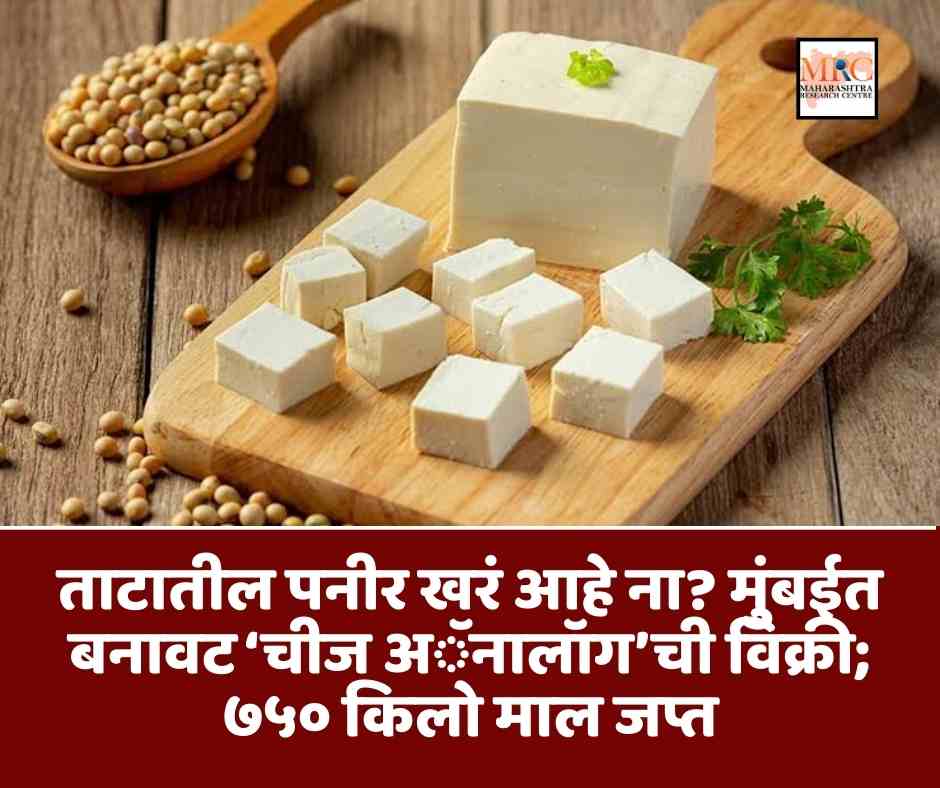 ताटातील पनीर खरं आहे ना? मुंबईत बनावट ‘चीज अॅनालॉग’ची विक्री; ७५० किलो माल जप्त