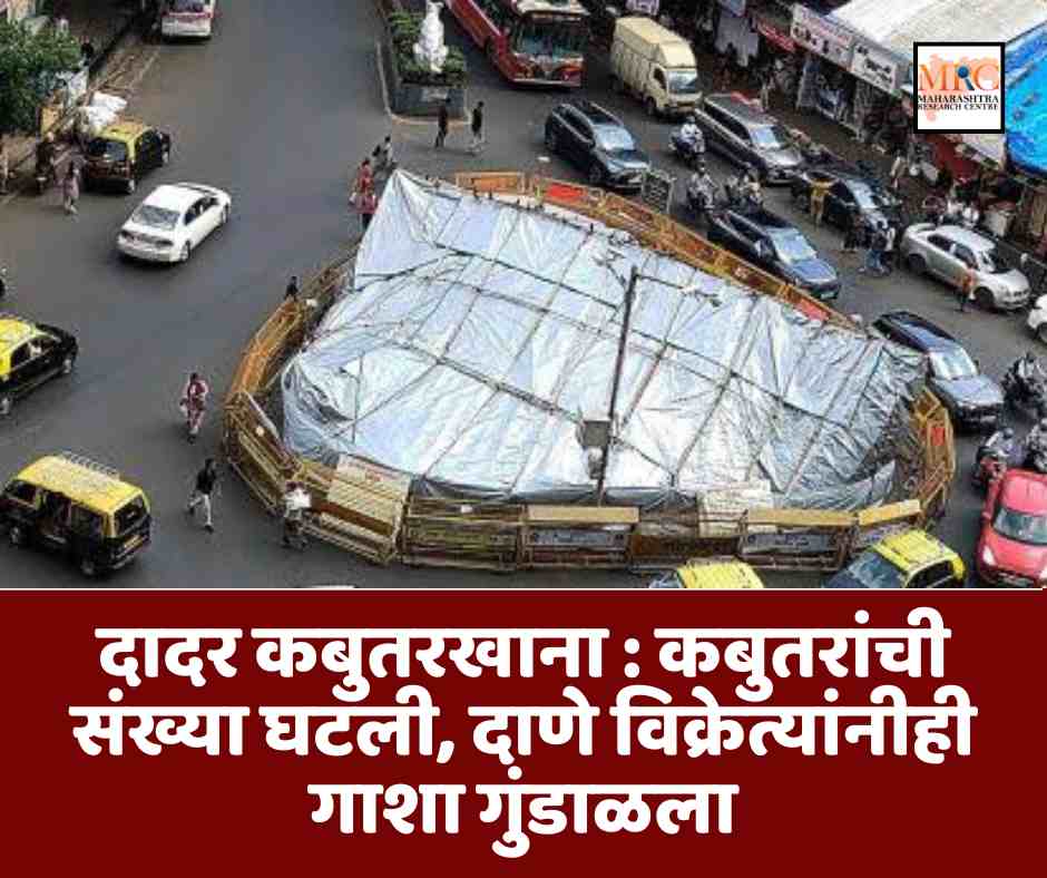 दादर कबुतरखाना : कबुतरांची संख्या घटली, दाणे विक्रेत्यांनीही गाशा गुंडाळला