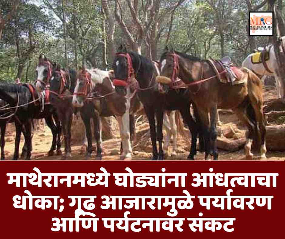 माथेरानमध्ये घोड्यांना आंधत्वाचा धोका; गूढ आजारामुळे पर्यावरण आणि पर्यटनावर संकट