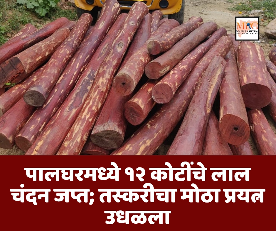पालघरमध्ये १२ कोटींचे लाल चंदन जप्त; तस्करीचा मोठा प्रयत्न उधळला